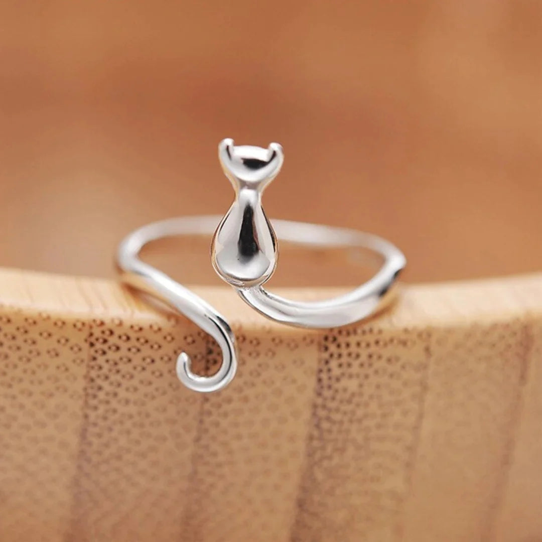 Anello Micio d’Argento Antico